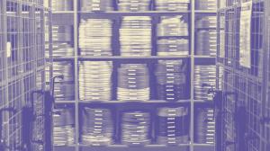 ANIM